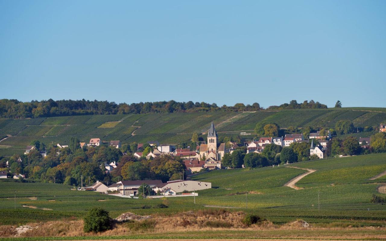 Demeure Larmandier Les Mesneux Exterior foto